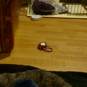 お兄たん、もっとでちゅ！の画像