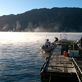 小雪過ぎての画像