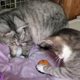 お気に入り❤️の画像