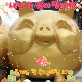 2019年スタート！の画像