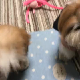 思わず笑顔にの画像