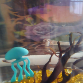 この冬のエビさん。の画像