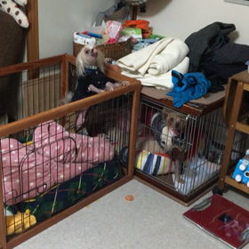 朝になるとの画像