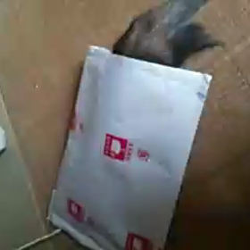 ハイテーションの画像