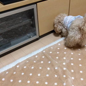 めくるめく？の画像