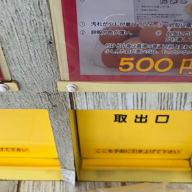 先日初体験のたまご自販機の画像