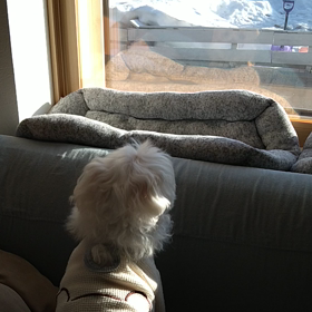 頑張れ〜の画像