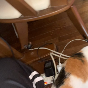 ムウです　erabooと会話の画像