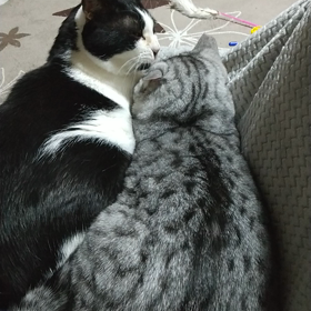 いつも こうなる(^_^;)の画像