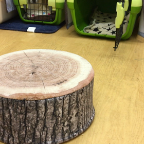 ベテランだから？それとも足の長さ？の画像