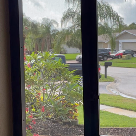 キツツキの画像