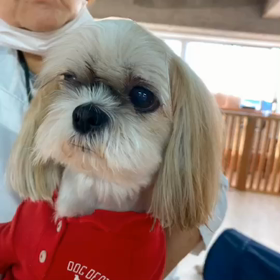 こんにちはの画像