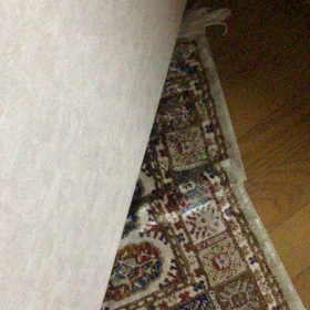 コロコロ普段は嫌いなのにの画像