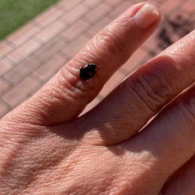 愛したいから♡の画像