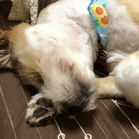 顔洗わない？の画像