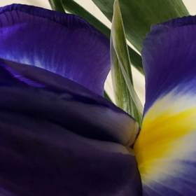 1/25の気になるMovieの画像