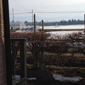 仲良しすずめちゃんの画像