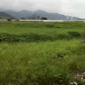 いなかをどうぞ(⌒0⌒)／~~の画像