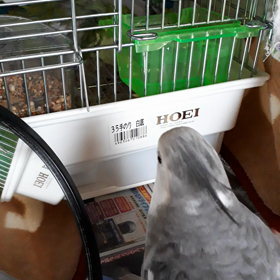 一緒に遊びたい♪の画像