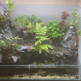 アクアテラリウム☆の画像