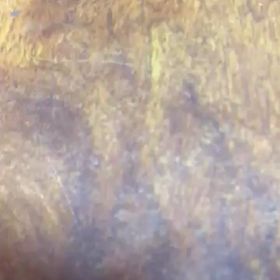 笑っちゃいましたの画像