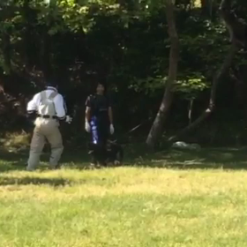 ニュート 防衛初歩の画像