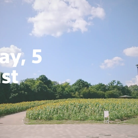 ひまわり。～(^-^)/の画像