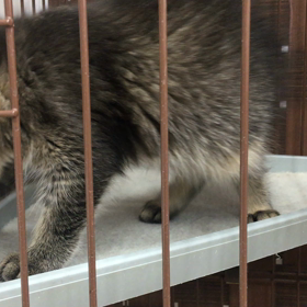 相変わらず すごい人の画像