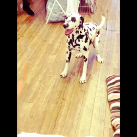 ノアくん★の画像