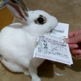 なんなんだ★の画像