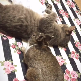 振り向けば…♡の画像