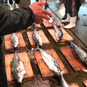 豊浜朝市の様子！鰆が多い！の画像