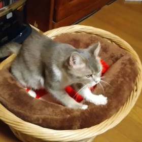 ストレッチ&マッサージ♪の画像