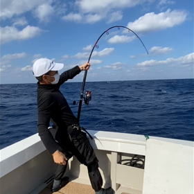 ロッドベルト　予約の画像