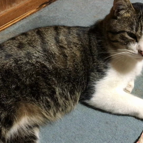 あたたかい部屋にての画像