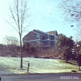 ゴミ捨てまでの道のり。の画像