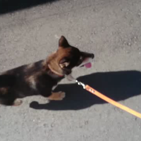 合宿２日目。の画像