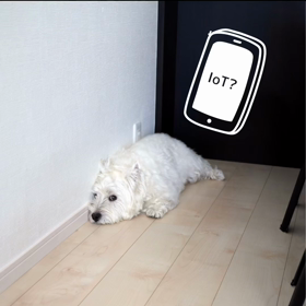 ハッピーハウスのCMの画像