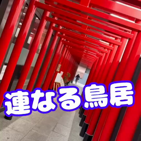 京うどんの画像