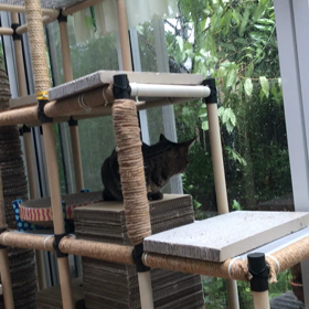 怖すぎるの画像