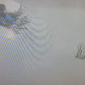 山に行けない週末^^;の画像