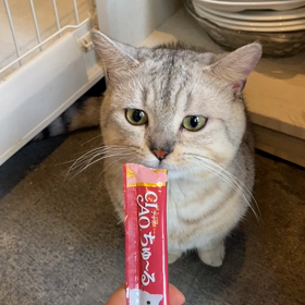 チュールタイムの画像