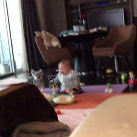 ふきげんと。の画像