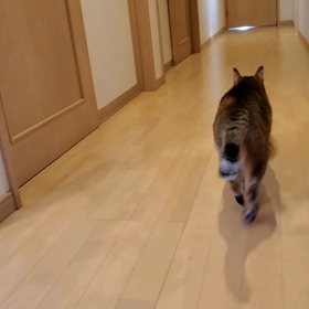 引っ越し完了の画像