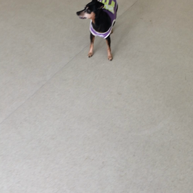 ♪プレイルーム動画♪の画像