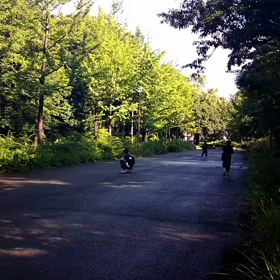 ８月１日 記録会⑩の画像