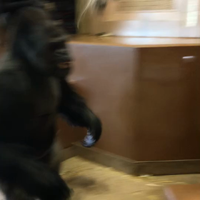 体力有り余って大変の画像