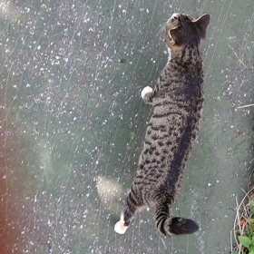 かわいいの画像