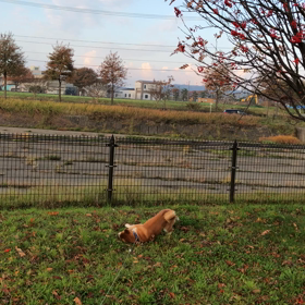 すりすり。。。の画像