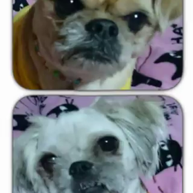 初登場‼‼こつぶの画像